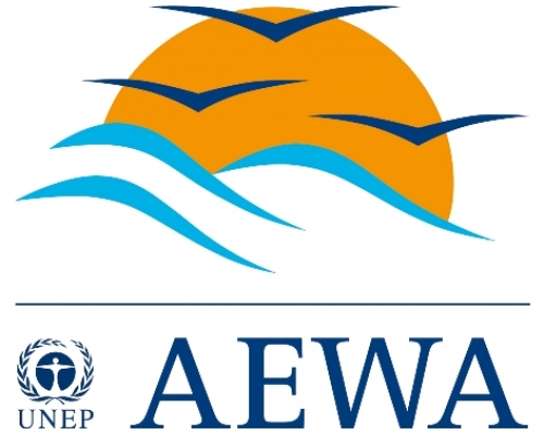 Samenwerken aan ganzenkwesties: AEWA en WAG